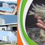 Shrimp Feed Mill