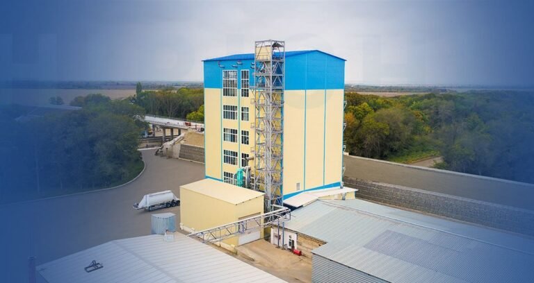 The Relationship Between Equipment Costs and Technical Automation in a 5t/h Fish Feed Production Line