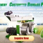 Biomass Pellet Press