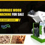 From Agricultural Waste to Industrial Fuel: The Biomass Revolution