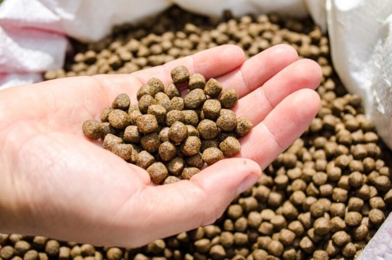 Is Automated Aquatic Feed Production Worth Investing In