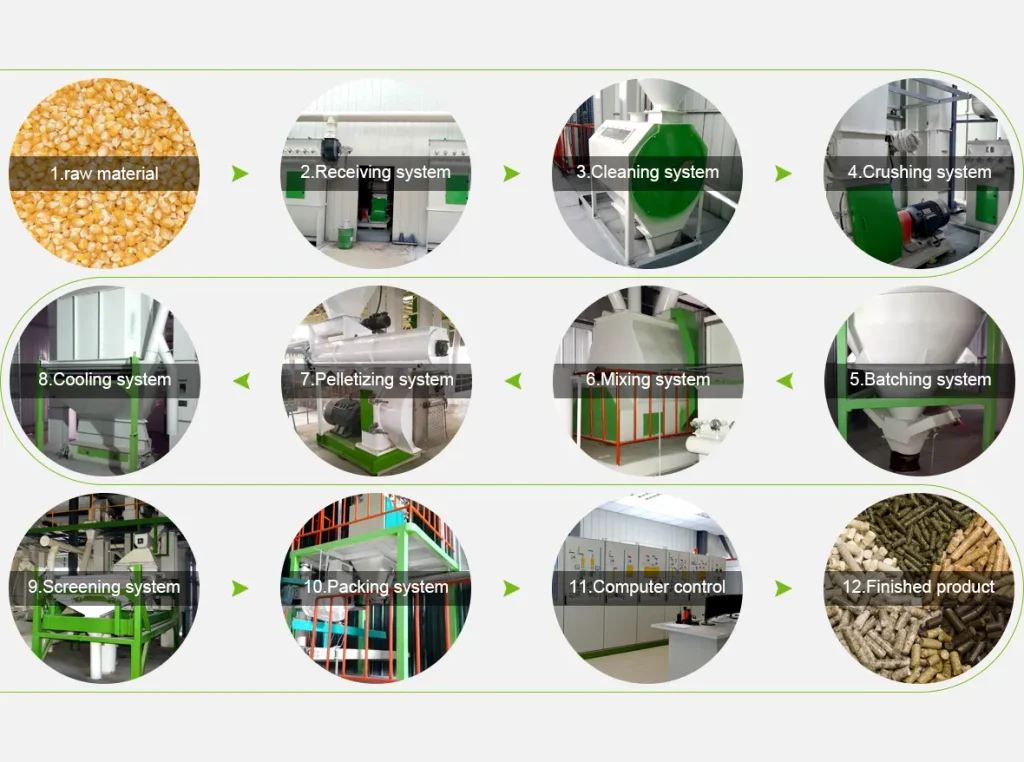 Animal feed pellet processing workflow chart, step-by-step cattle feed production process