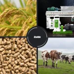 Cattle feed pellet mill machine for making cow feed pellets, livestock feed manufacturing equipment