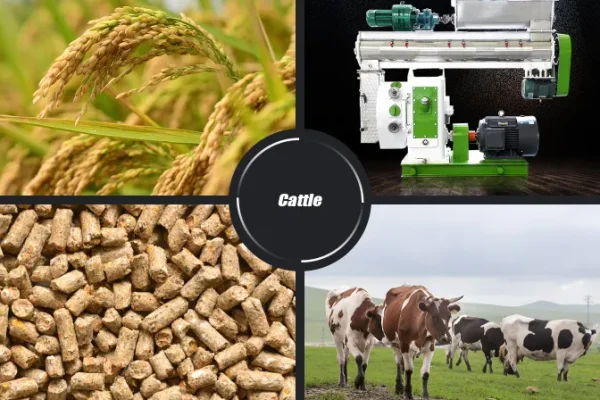 Cattle feed pellet mill machine for making cow feed pellets, livestock feed manufacturing equipment