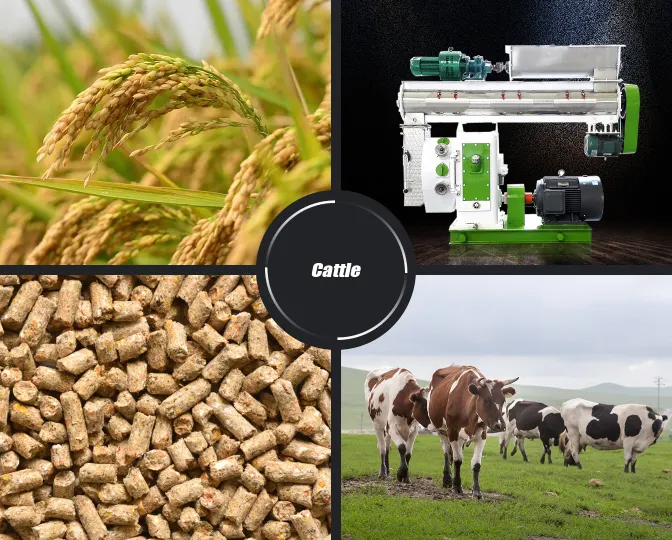 Cattle feed pellet mill machine for making cow feed pellets, livestock feed manufacturing equipment