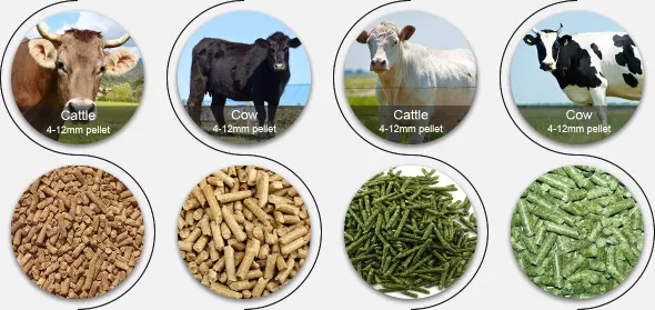 Cattle feed pellets and raw materials for ruminant livestock feeding